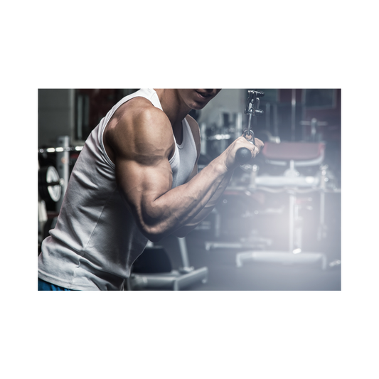Triceps Triumph: Top Triceps Workouts for Strength and Definition